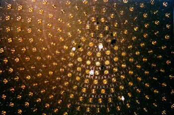 Le neutrino : du rififi dans les symétries