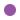puce violette